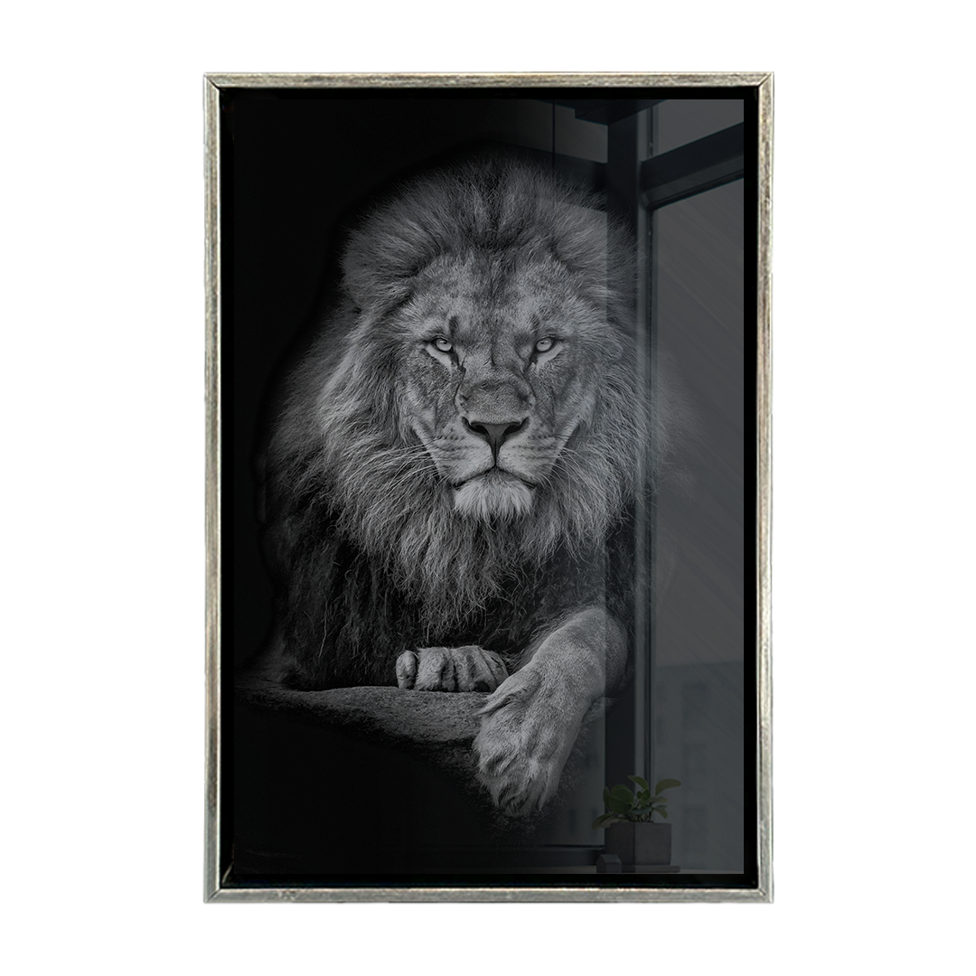 León Blanco y Negro