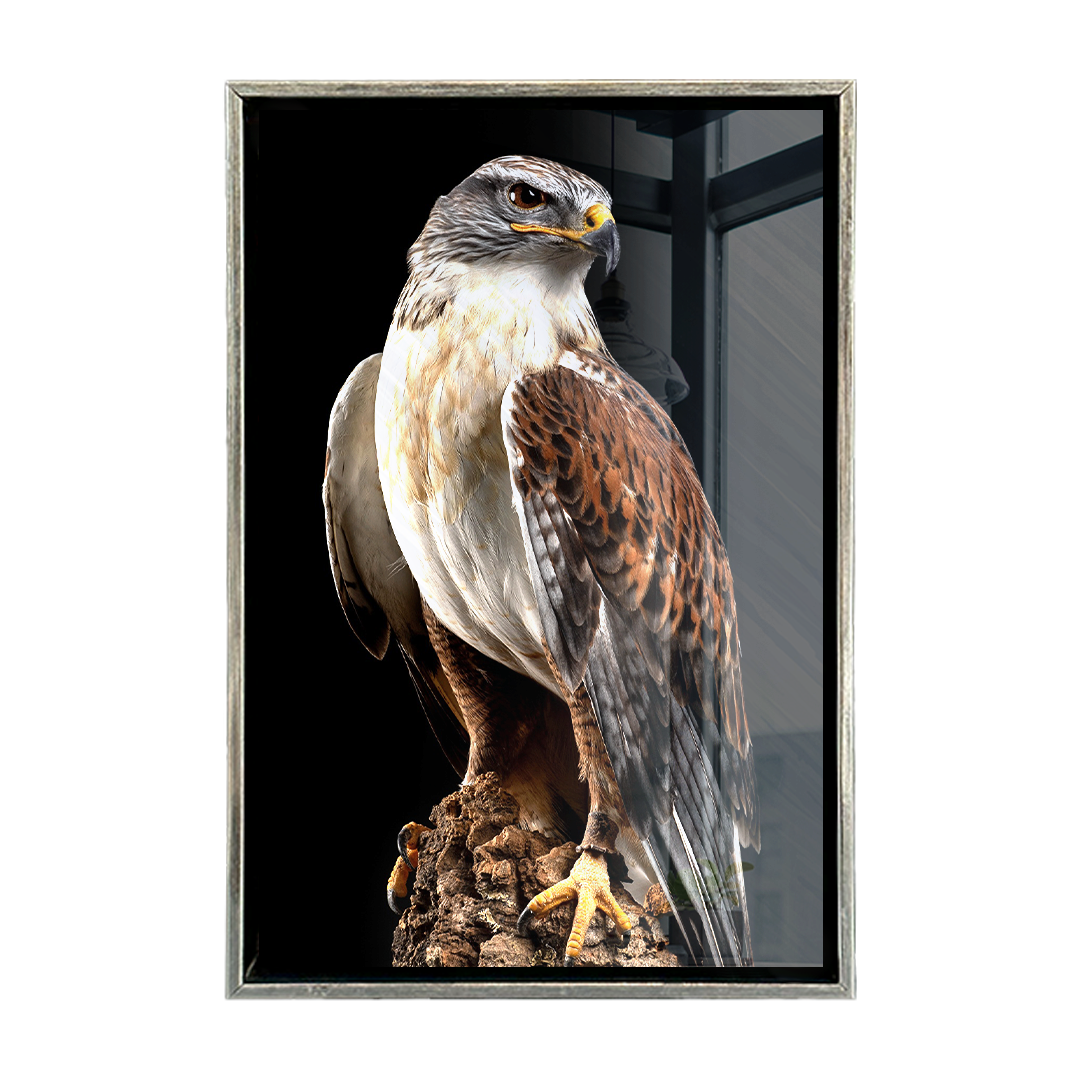 Halcon