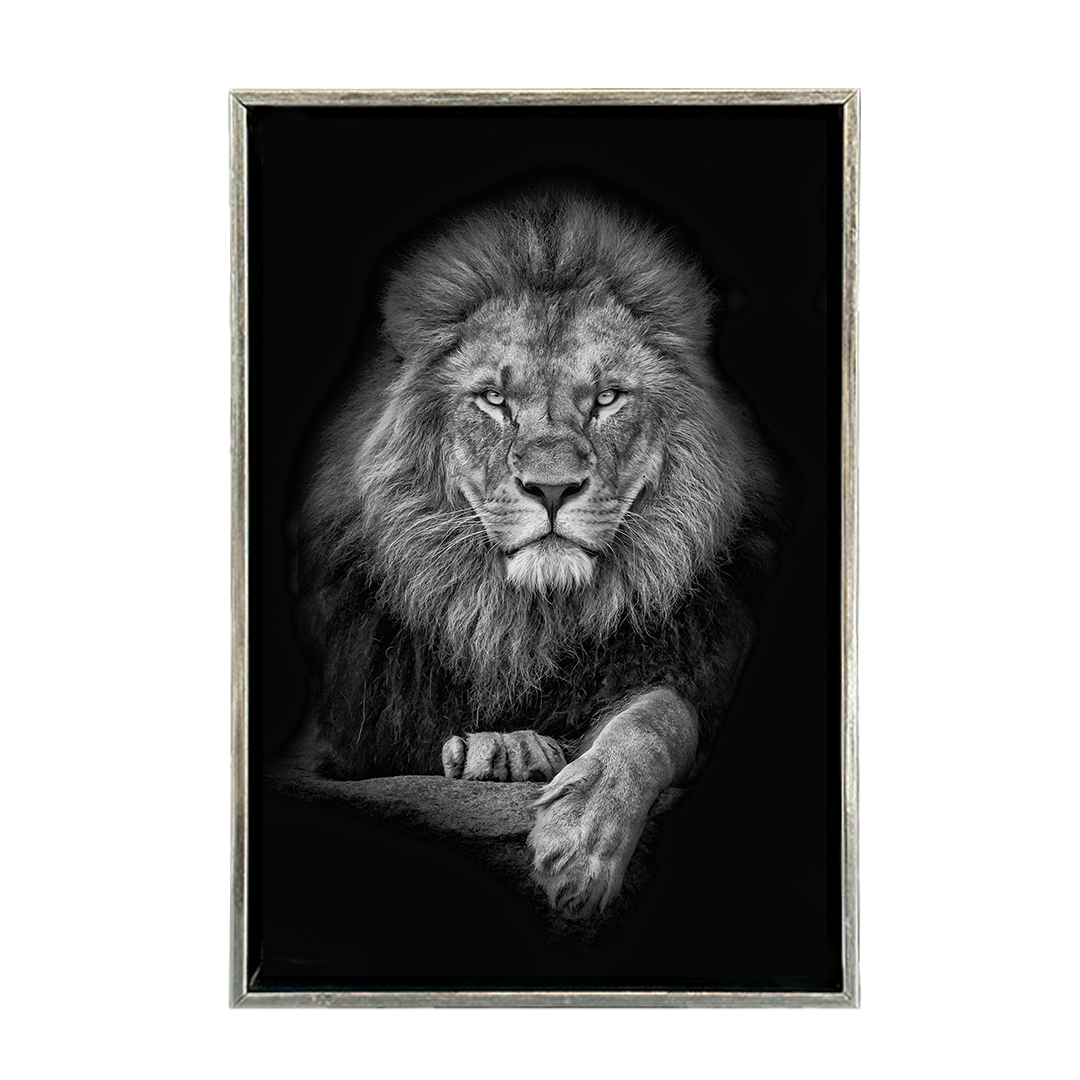 León Blanco y Negro